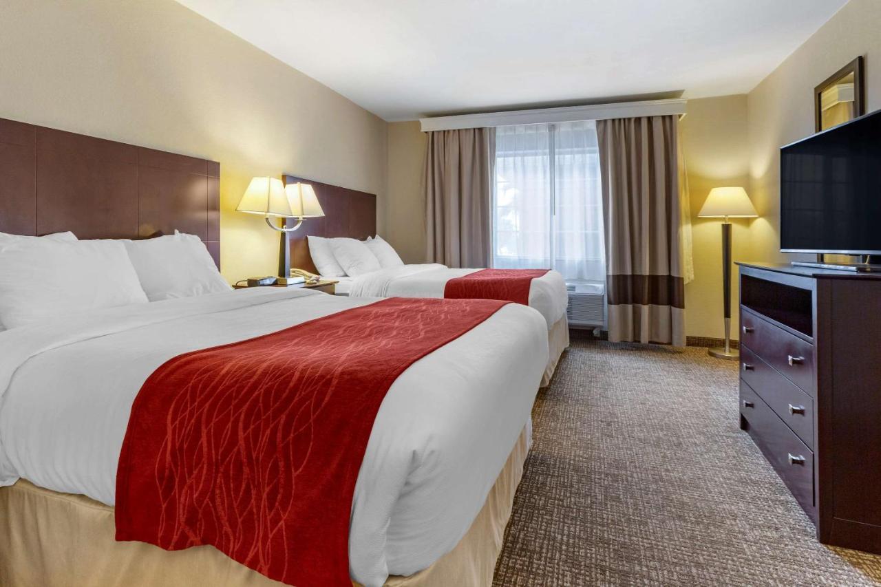 Comfort Inn & Suites North Tucson Marana Екстер'єр фото